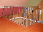 P1018146